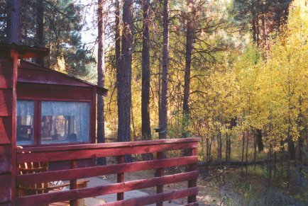 nature retreat surrounded by winema national forest, near wilderness areas and hiking trails, offering cabins, tree houses, vacation rentals near crater lake national park, klamath basin birding trails, wood river wetlands, national wildlife refuges in the pacific flyway of southern oregon.