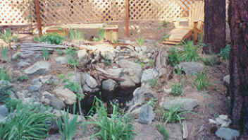 the pond in the enclosed backyard of cabin 4 at the nature retreat in southern oregon near crater lake national park, klamath basin birding trails, wetlands, national wildlife refuges in the pacific flyway of southern oregon, nestled in the cascade mountains in the winema national forest.