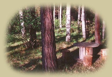 Picnicking on the river at the retreat in southern oregon: cabins, tree houses, vacation rentals near crater lake national park, klamath basin birding trails, national wildlife refuges, hiking trails in fremont winema national forest, rogue siskiyou national forest: sky lakes wilderness, mountains lakes wilderness.