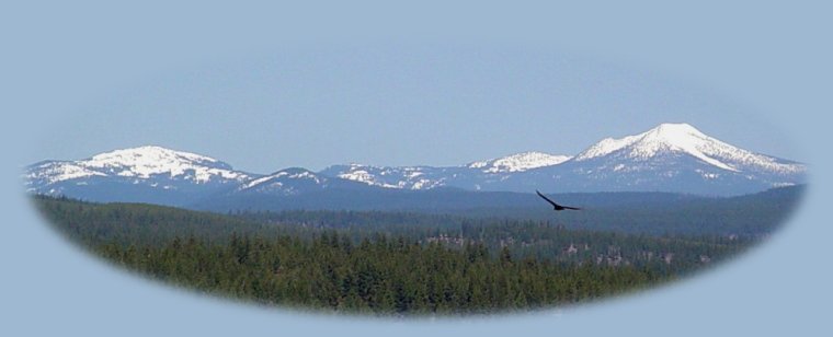 nature retreat: cabins, tree houses, vacation rentals near crater lake national park, klamath basin birding trails, national wildlife refuges, wetlands in the pacific flyway of southern oregon, northern california.