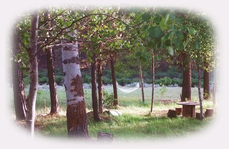 Retreat in oregon: cabins, tree houses, vacation rentals offering meditation, relaxation, spiritual pursuits near crater lake national park, klamath basin birding trails, national wildlife refuges, hiking trails in winema national forest, hiking trails in rogue siskiyou national forest: sky lakes wilderness, mountain lakes wilderness.