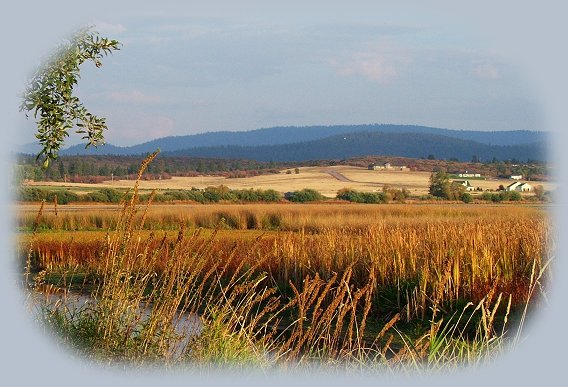 Nature Retreat offering Cozy Comfort cabins on the River in the Forest near crater lake national park, klamath basin birding trails, national wildlife refuges, wetlands in the pacific flyway of southern oregon, northern california.