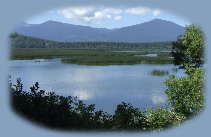 cabins, tree houses, cottages, vacation rentals near crater lake national park, klamath basin birding trails, national wildlife refuges, wetlands in the pacific flyway of southern oregon; northern california.