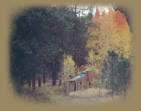 The stargazer tree house in autumn at the retreat in oregon offering meditation, spiritual and nature pursuits, near crater lake national park, klamath basing birding trails, national wildlife refuges, wood river wetlands, hiking trails in winema and rogue national forests: sky lakes wilderness; mountain lakes wilderness.