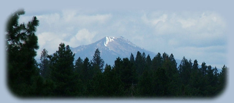 cabins, tree houses, cottages, vacation rentals near crater lake national park, klamath basin birding trails, wetlands, national wildlife refuges, wetlands in the pacific flyway of southern oregon and northern california.