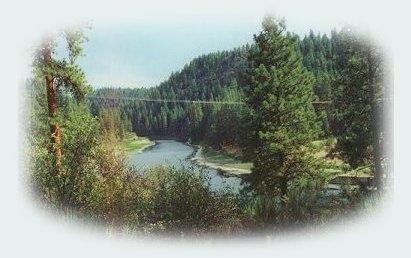 nature retreat on the river offering tree houses, cabins, vacation rentals in klamath basin, the pacific flyway, near crater lake national park, klamath basin birding trails, national wildlife refuges, klamath lake, wetlands, sky lakes wilderness areas in the winema national forest in the cascade mountains, hiking trails abound in nearby wilderness areas.