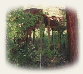 Stargazer tree house in southern oregon at the retreat, offering cabins, tree houses, vacation rentals, meditation and spiritual pursuits, not far from crater lake national park, klamath basin birding trails, national wildlife refuges, wood river wetlands, hiking trails in winema and rogue national forests: sky lakes wilderness, mountain lakes wilderness.