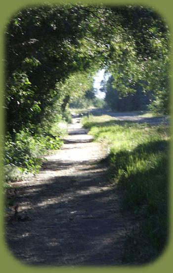 stay at the retreat: cabins, tree houses, vacation rentals in the forest on the river near crater lake national park, klamath basin birding trails, national wildlife refuges, wetlands in the pacific flyway of southern oregon, northern california.