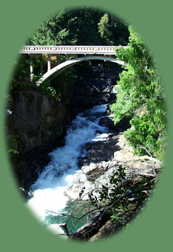 exploring nature at the retreat: cabins, tree houses, vacation rentals in the forest on the river near crater lake national park, klamath basin birding trails, national wildlife refuges, wetlands in the pacific flyway of southern oregon, northern california.